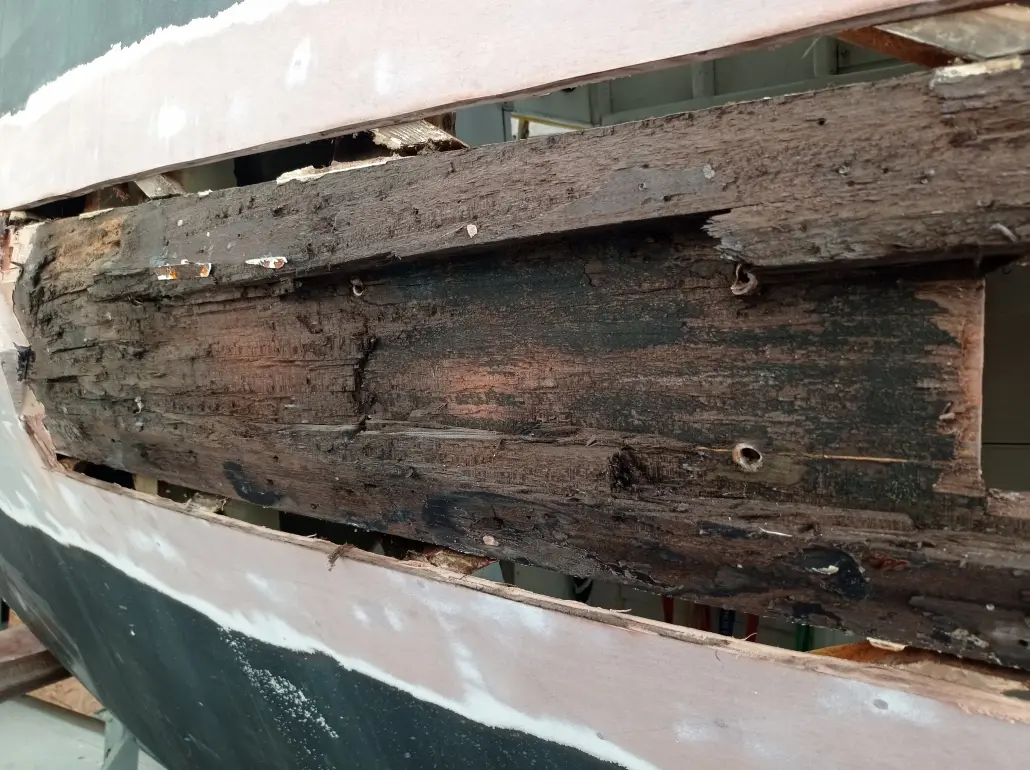 Chapeau de quille muscadet